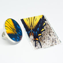 Cargar imagen en el visor de la galería, Anillo Redondo Alas de Mariposa Tigre