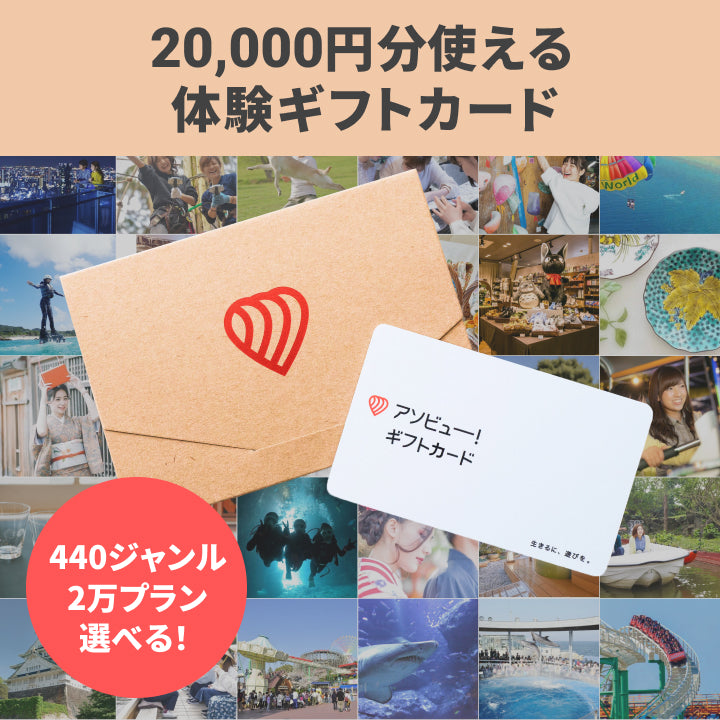 アソビューギフトカード20,000円分 (税込) 8907円引き sandorobotics.com