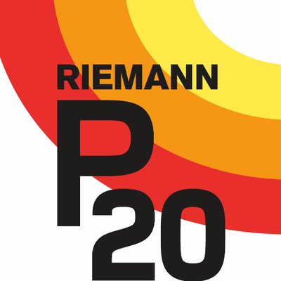 P20 logo