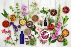 assortment of flowers and herbs