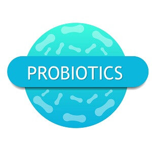 CBD probiotics