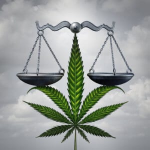 marijuana vs hemp