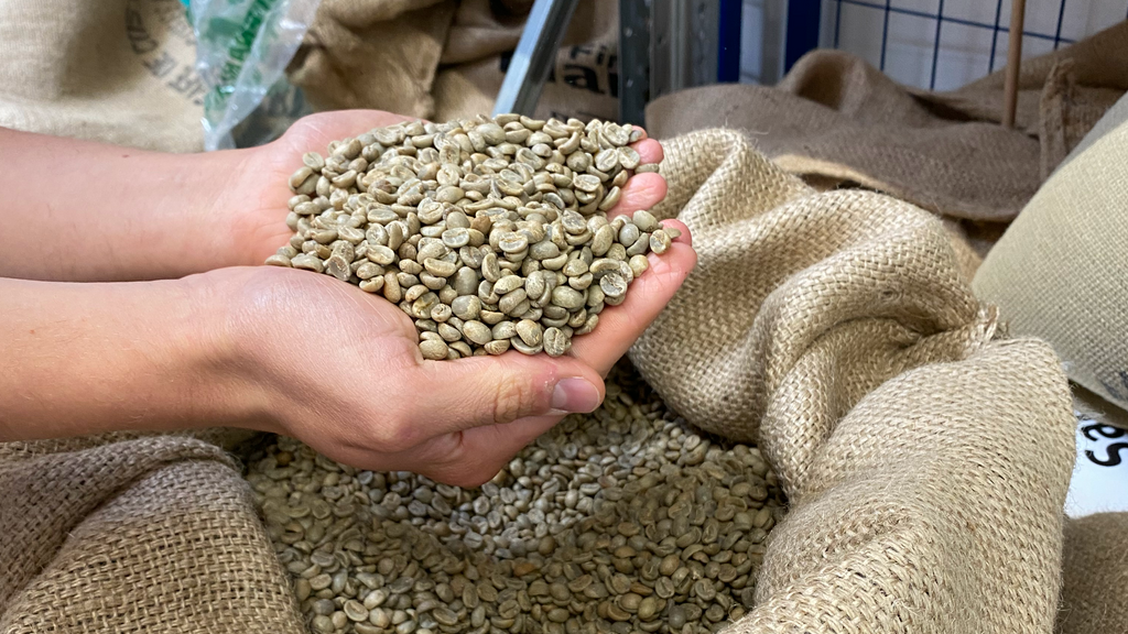 Kaffeebohnen Rohbohnen Fairtrade Direkthandel