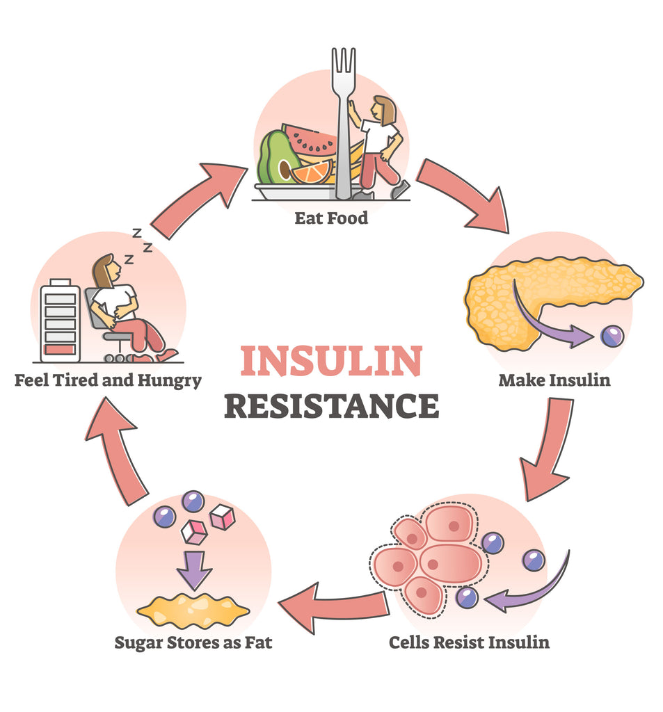 Insulin Resistance