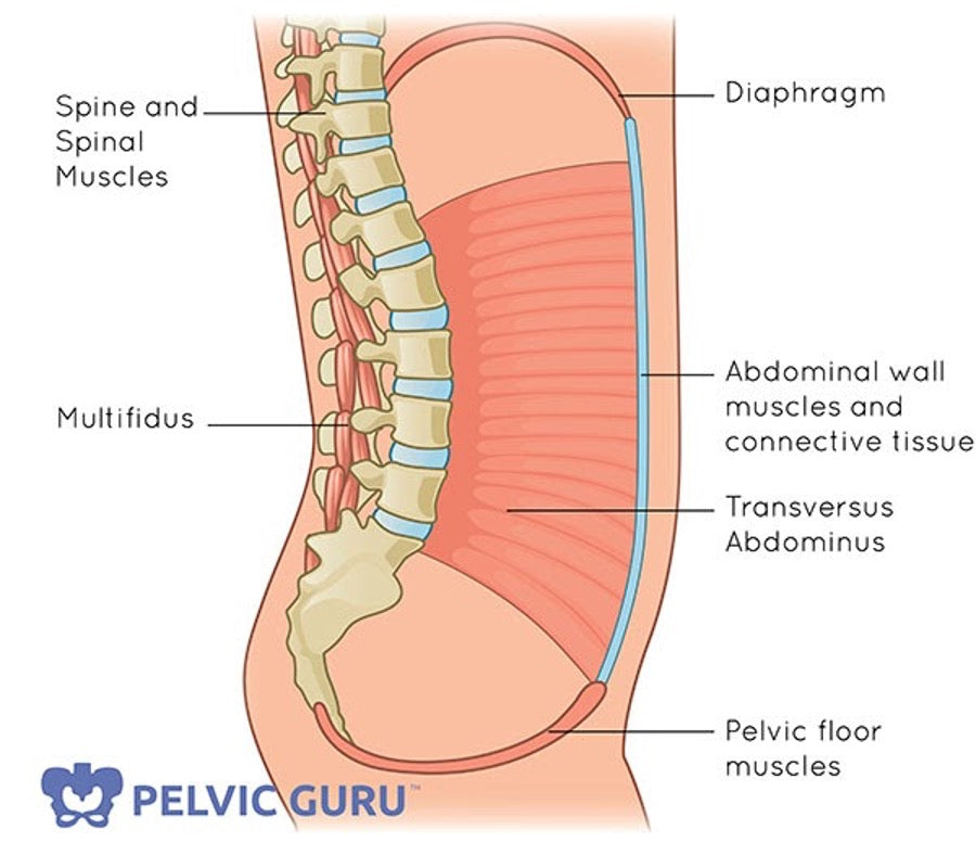 Pelvic health