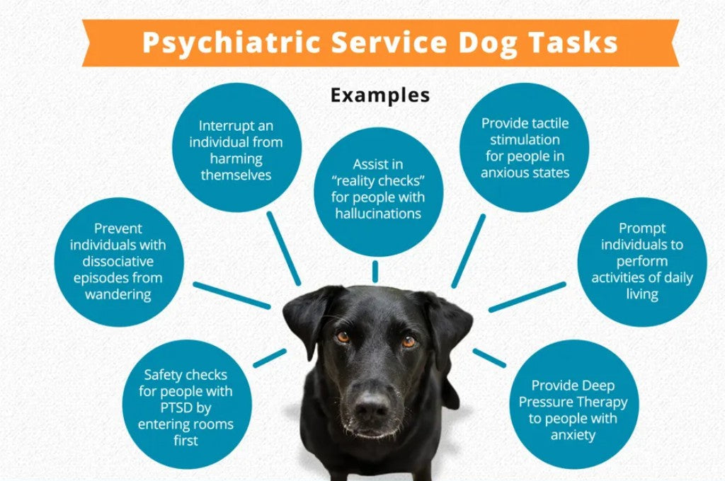 Benefits of having Psychiatric Service Dogs