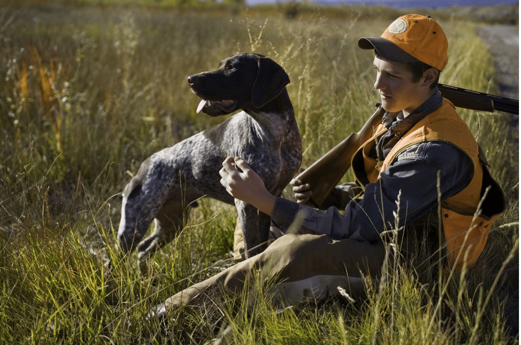 Explore the World of Brown Hunting Dog Breeds