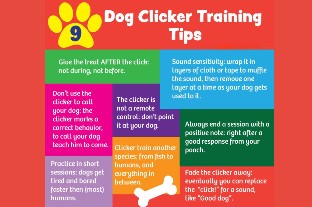 Exploring the Upsides and Downsides of Clicker Training Methods