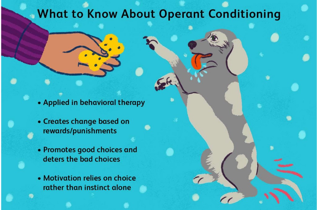How Operant Conditioning Transforms Actions