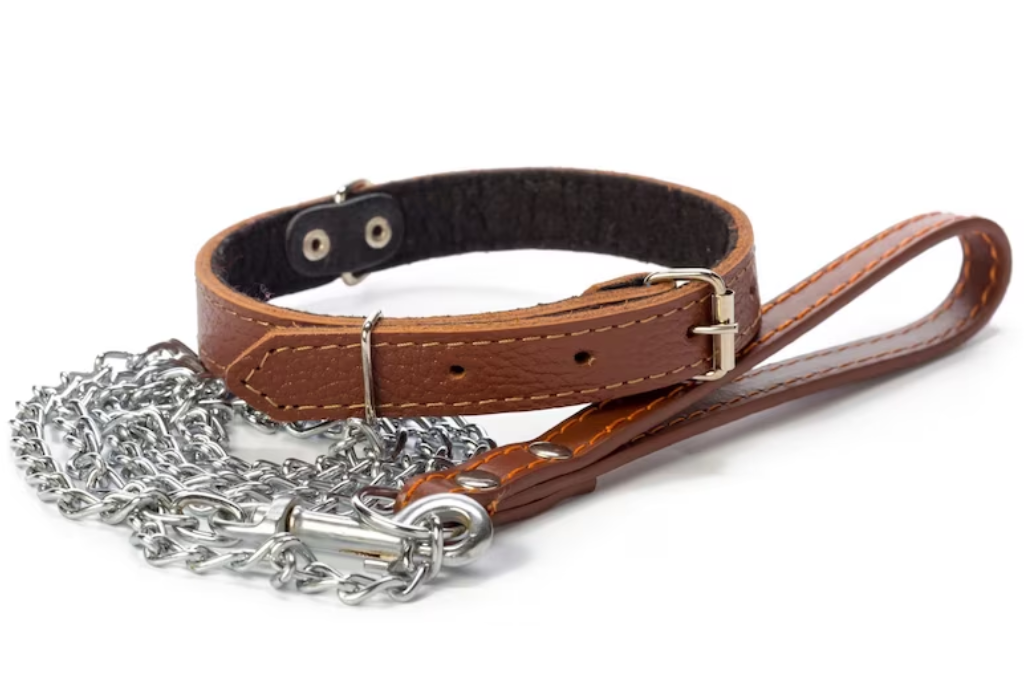 Is a Flat Buckle Collar Sufficient for Basic Dog Training Needs?