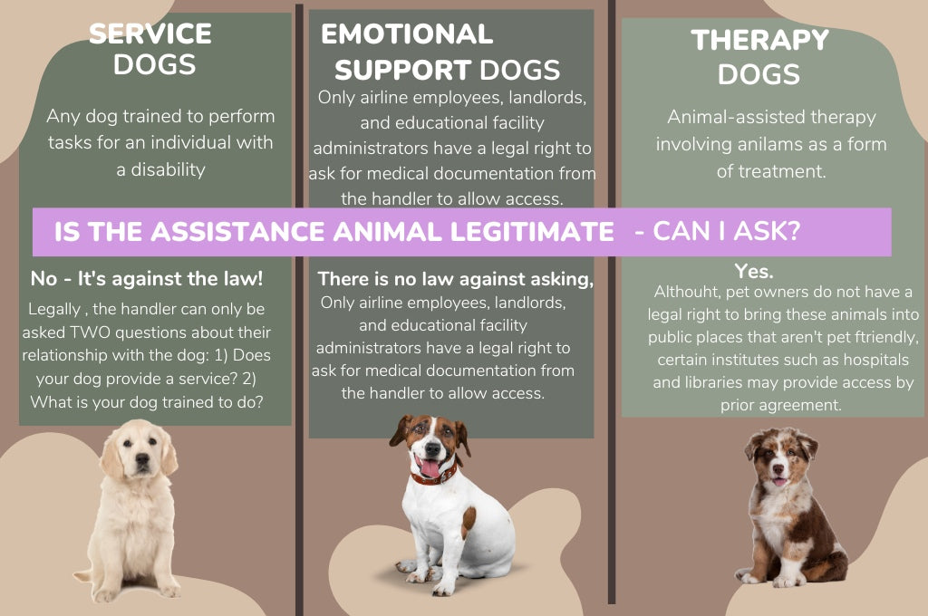 training-psychiatric-service-dogs