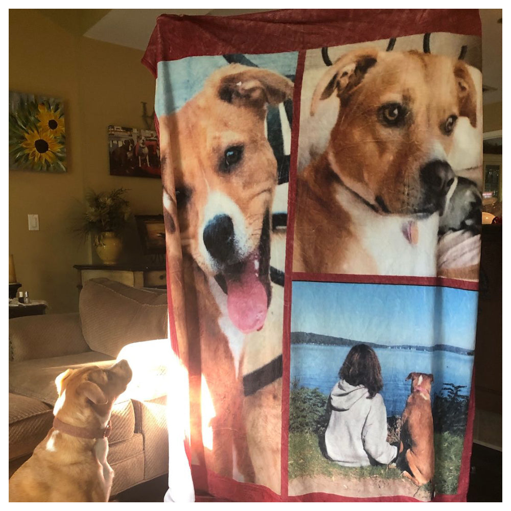 custom pet blanket nz