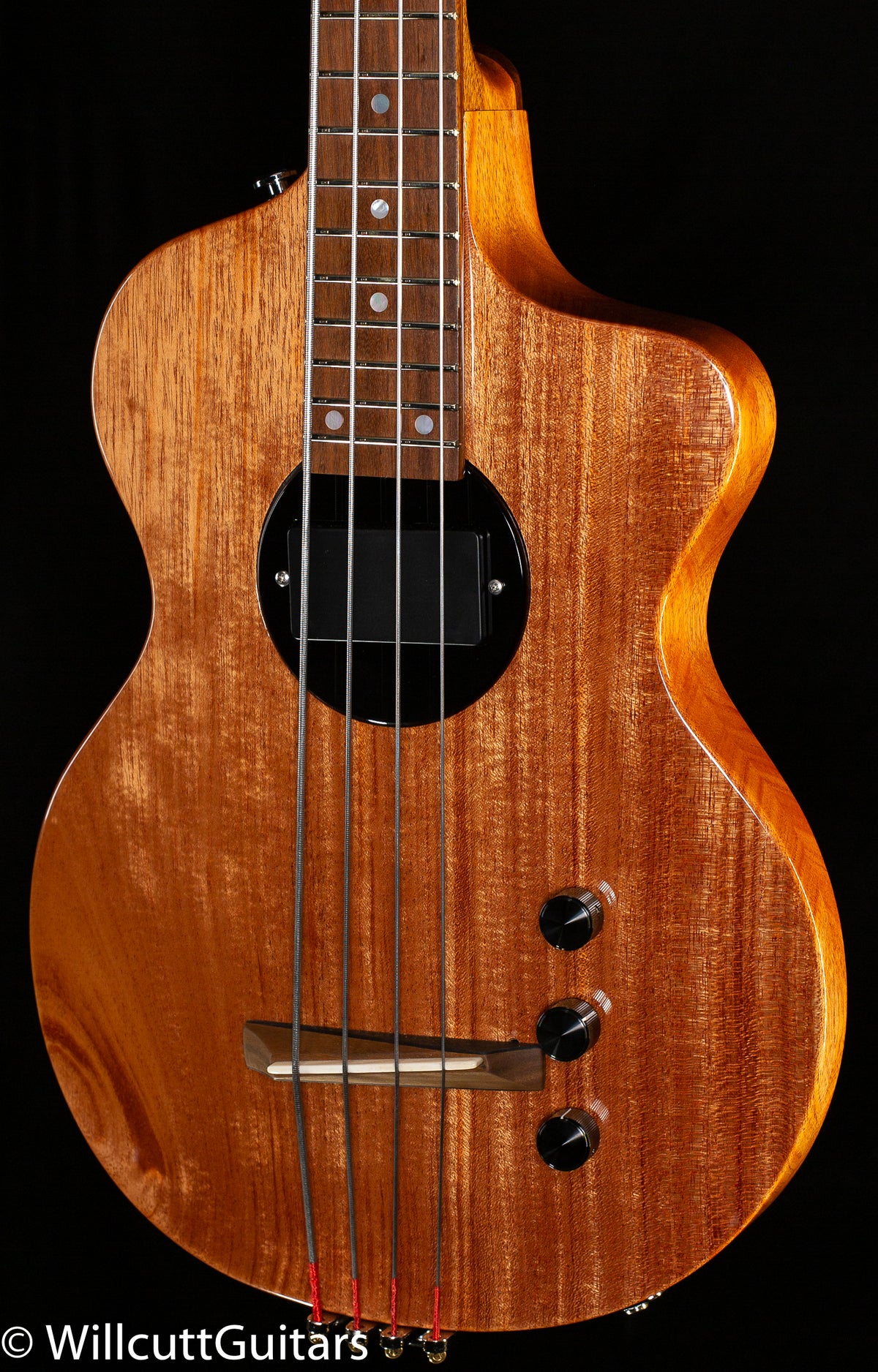 Palatino Upright Bass VB-004 1/2 Size - Willcutt Guitars