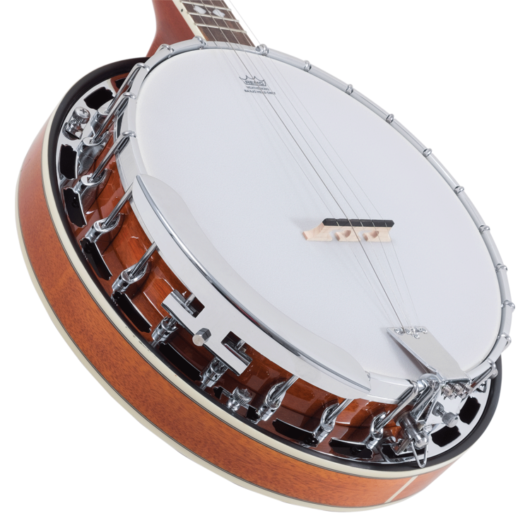 recording king songster resonator banjo