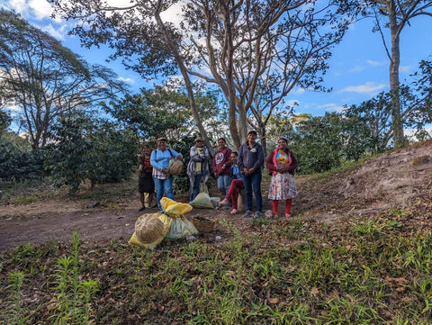 the team on the last day of coffee picking