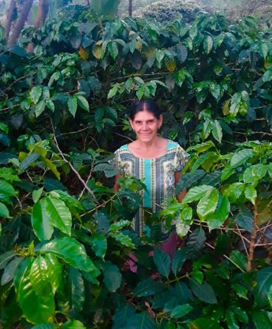 Ada in the midst of her coffee plants in Honduras