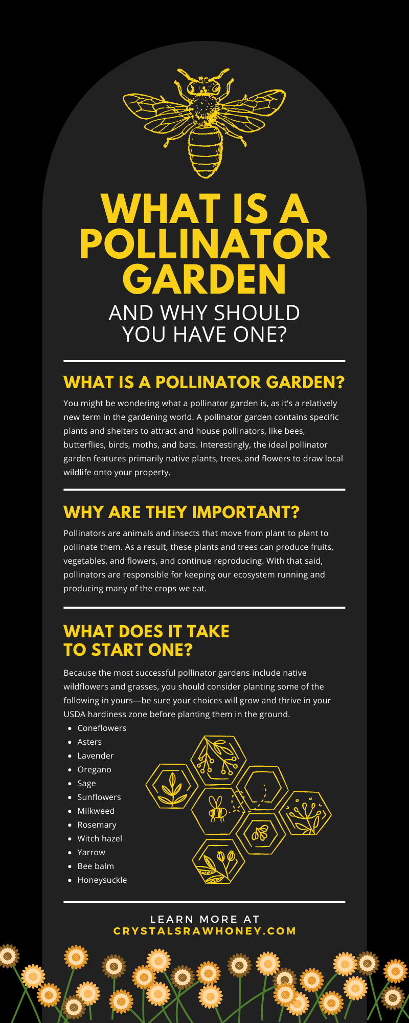 What Is a Pollinator Garden and Why Should You Have One?