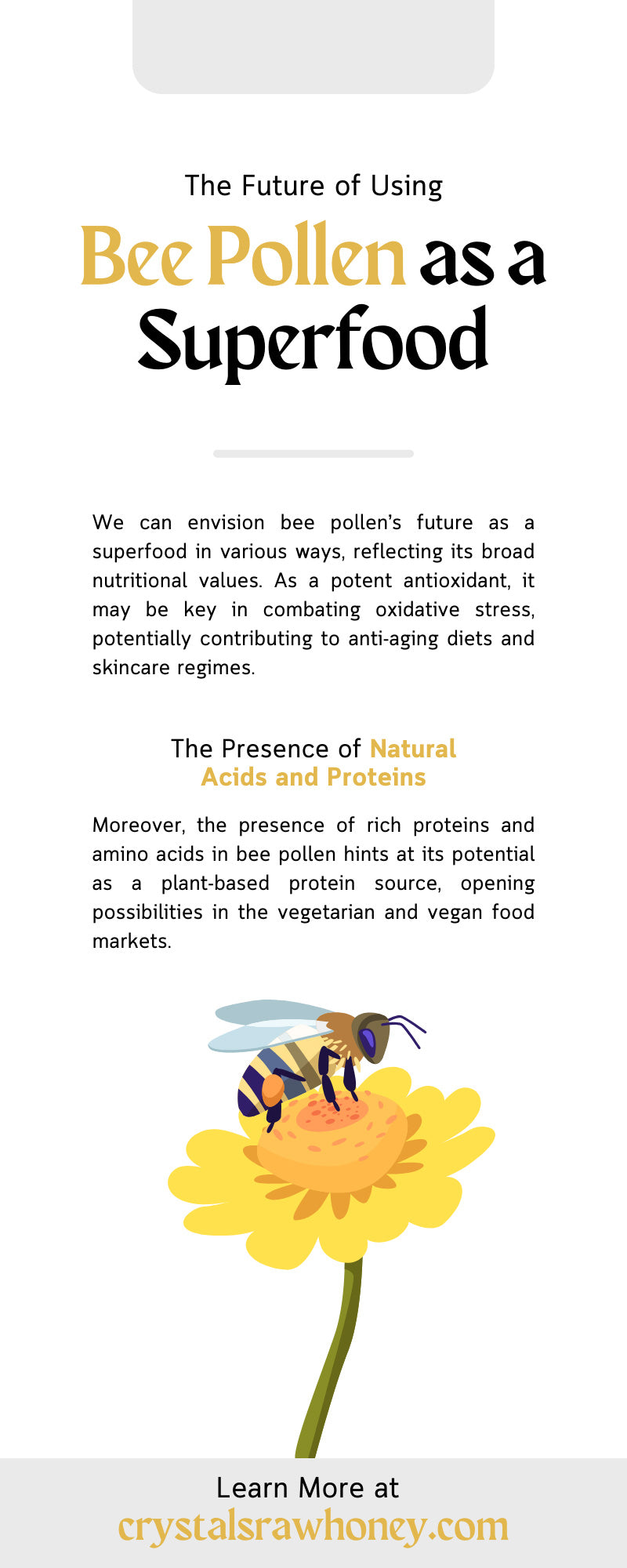 The Future of Using Bee Pollen as a Superfood