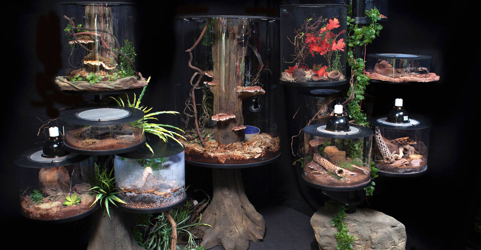 A-Round Nature – 360 Degree Terrariums