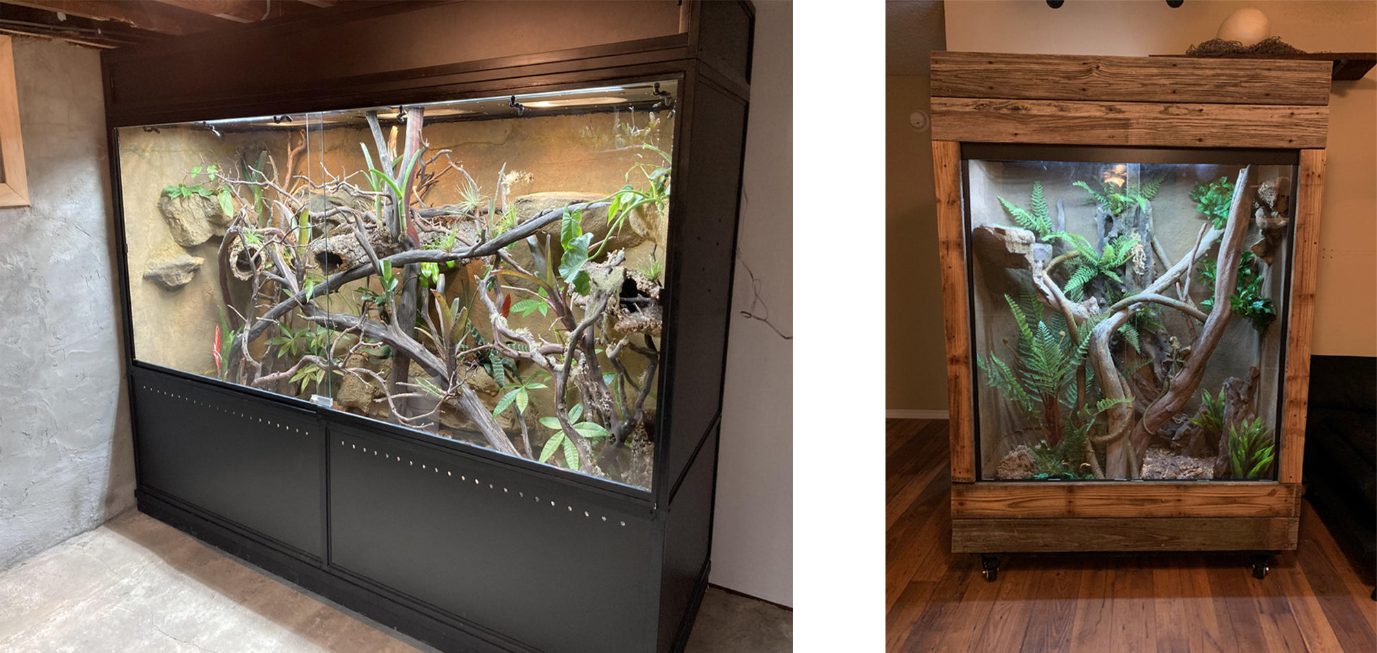 Larger custom reptile enclosures