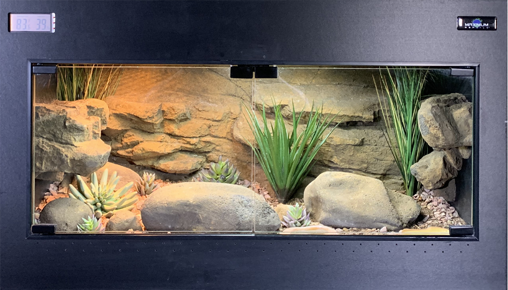 Custom Reptile Habitats - Amazing 