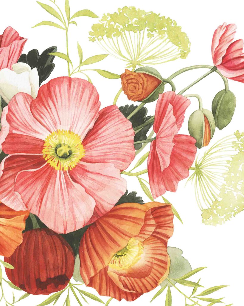 Poppy Print - Pink Poppy