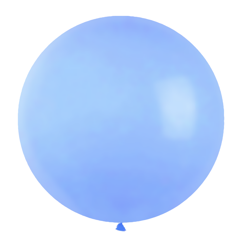 Plantage Zuidwest Aanvulling Grote ballonnen - Blauw (10 stuks / 90 CM) – PartyPro.nl