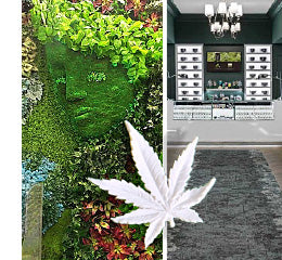 Two image composite. Left image is a green wall face made from botanical elements, right image is a dispensary lobby. On top of both is a small Wall Play cannabis leaf.