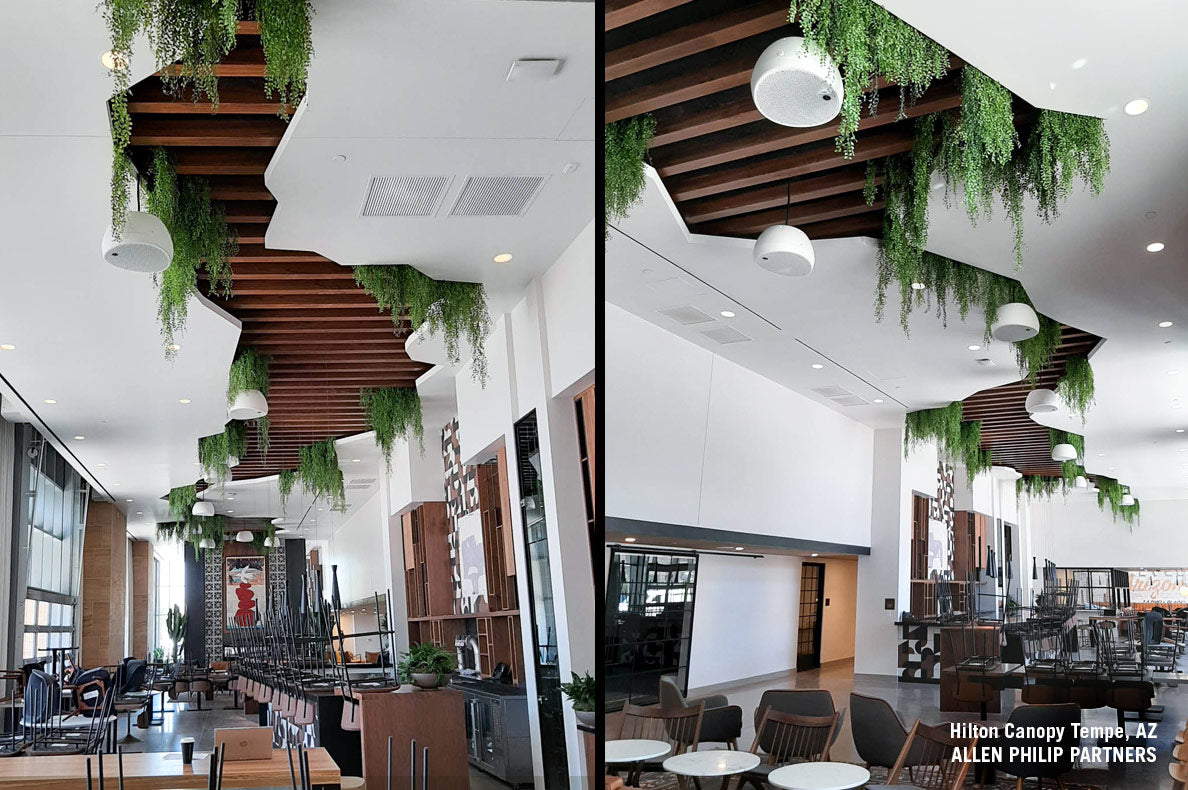 Two images of a large room with tables and chairs. Walls and ceiling are white but ceiling is split showing brown wood slats and permanent botanical vines hanging down.