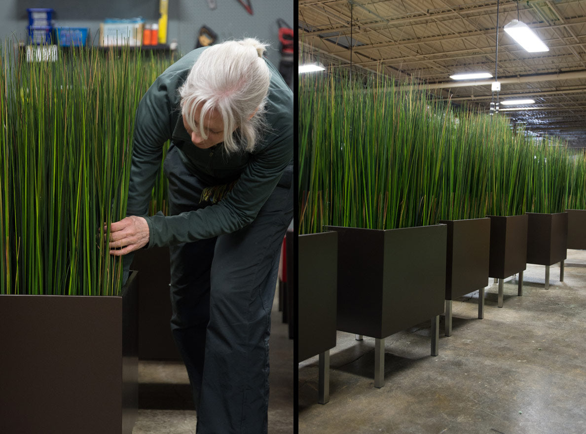 Two images side by side: Woman checking permanent grasses in a planter. A row of planters with permanent grasses in it.