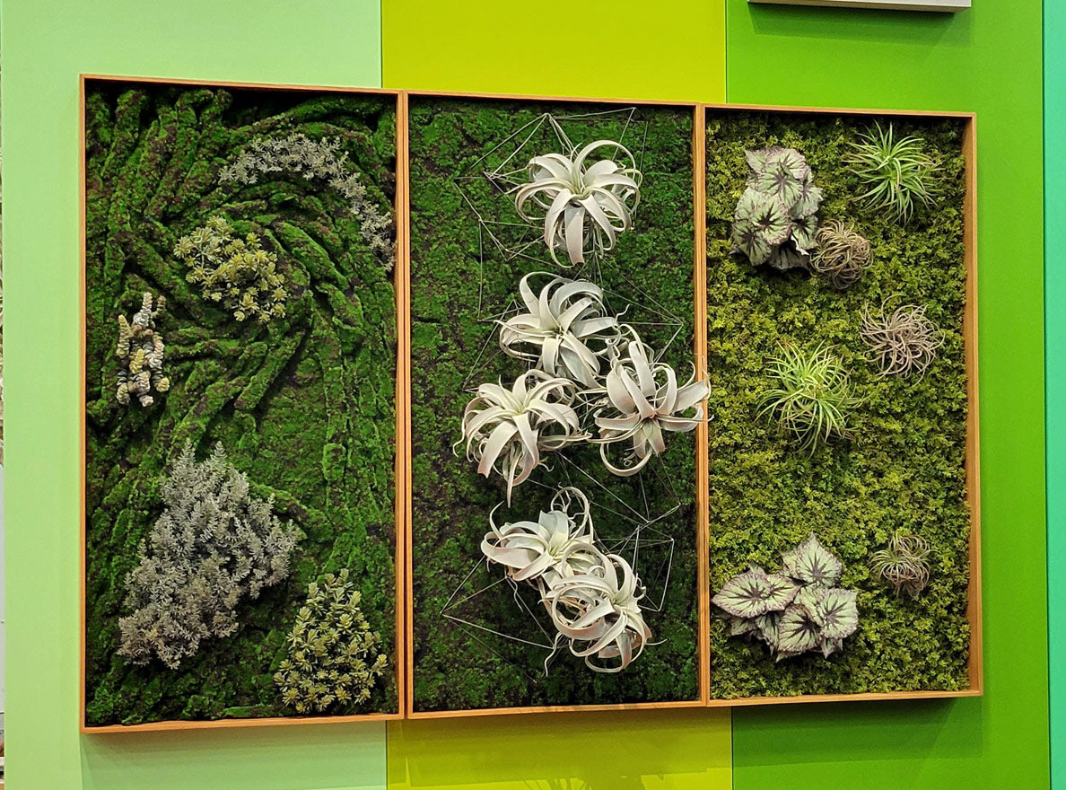 Three Green Wall panels in shadowboxes at Gold Leaf Design Group's HD Expo 2023 booth.