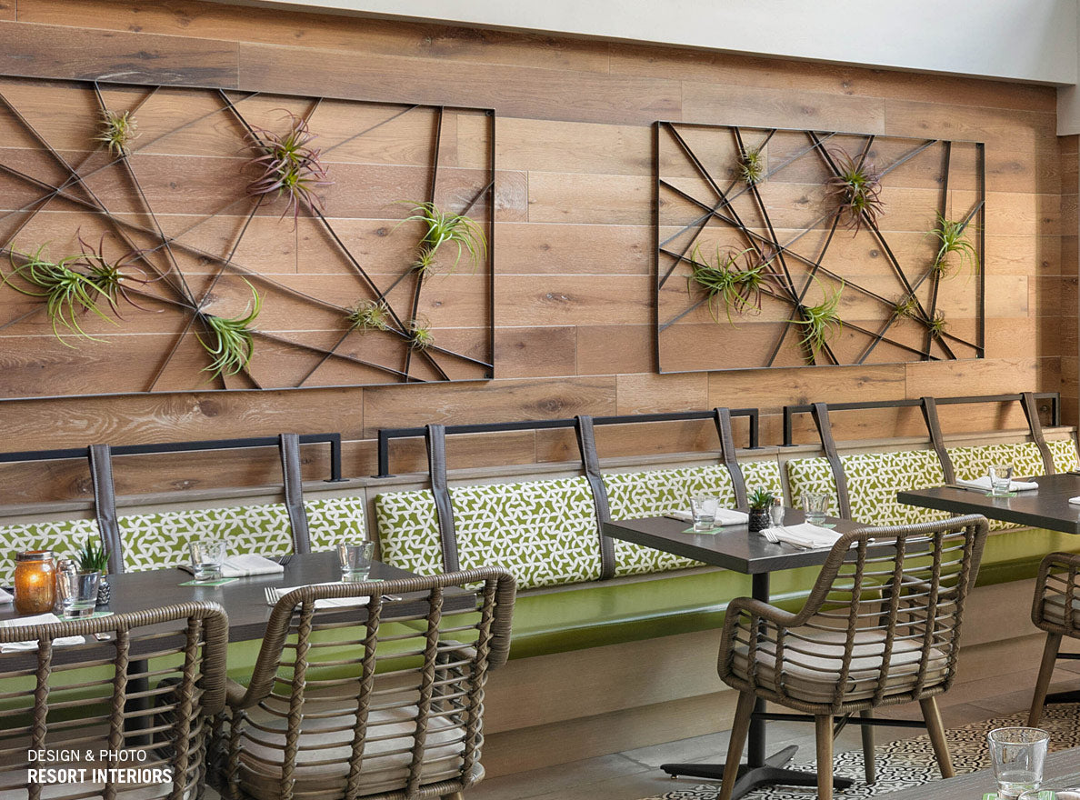 Two Intersect metal wall art sculptures with tillandsia attached to it on a wood wall in a cafe.