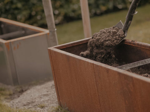 Gode ​​råd å plante i hagen din