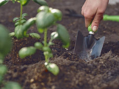 planter