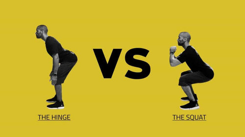 hinge vs squat