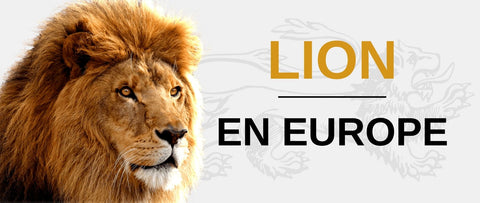 Proverbes Et Citations Sur Le Lion Lion Royaume
