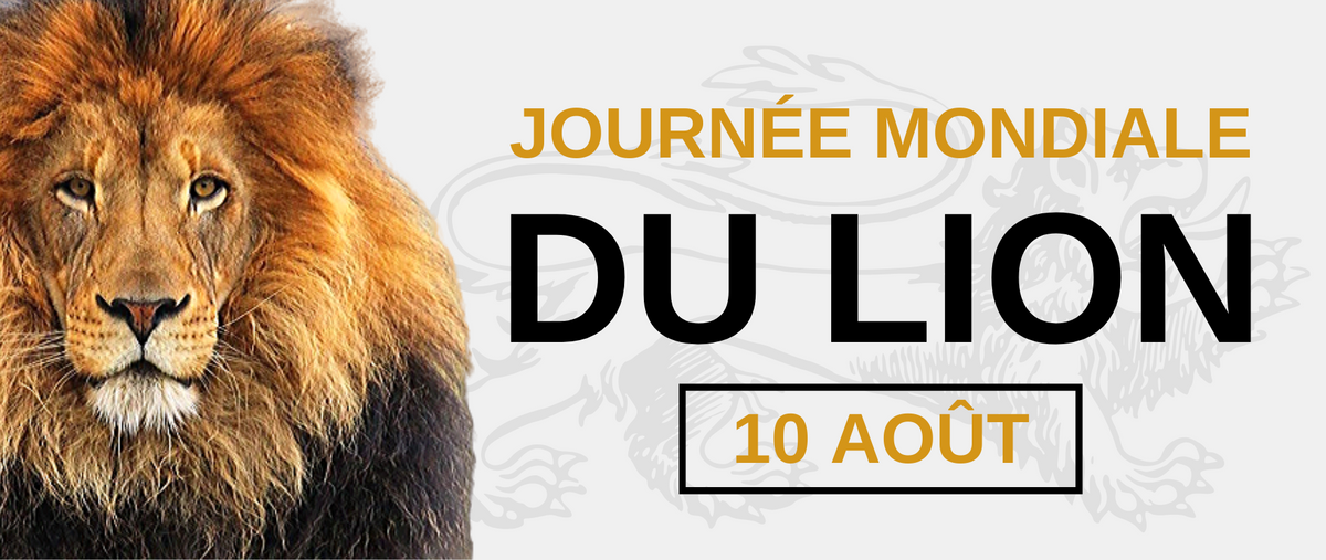 Journée Mondiale du Lion 10 Août Lion Royaume