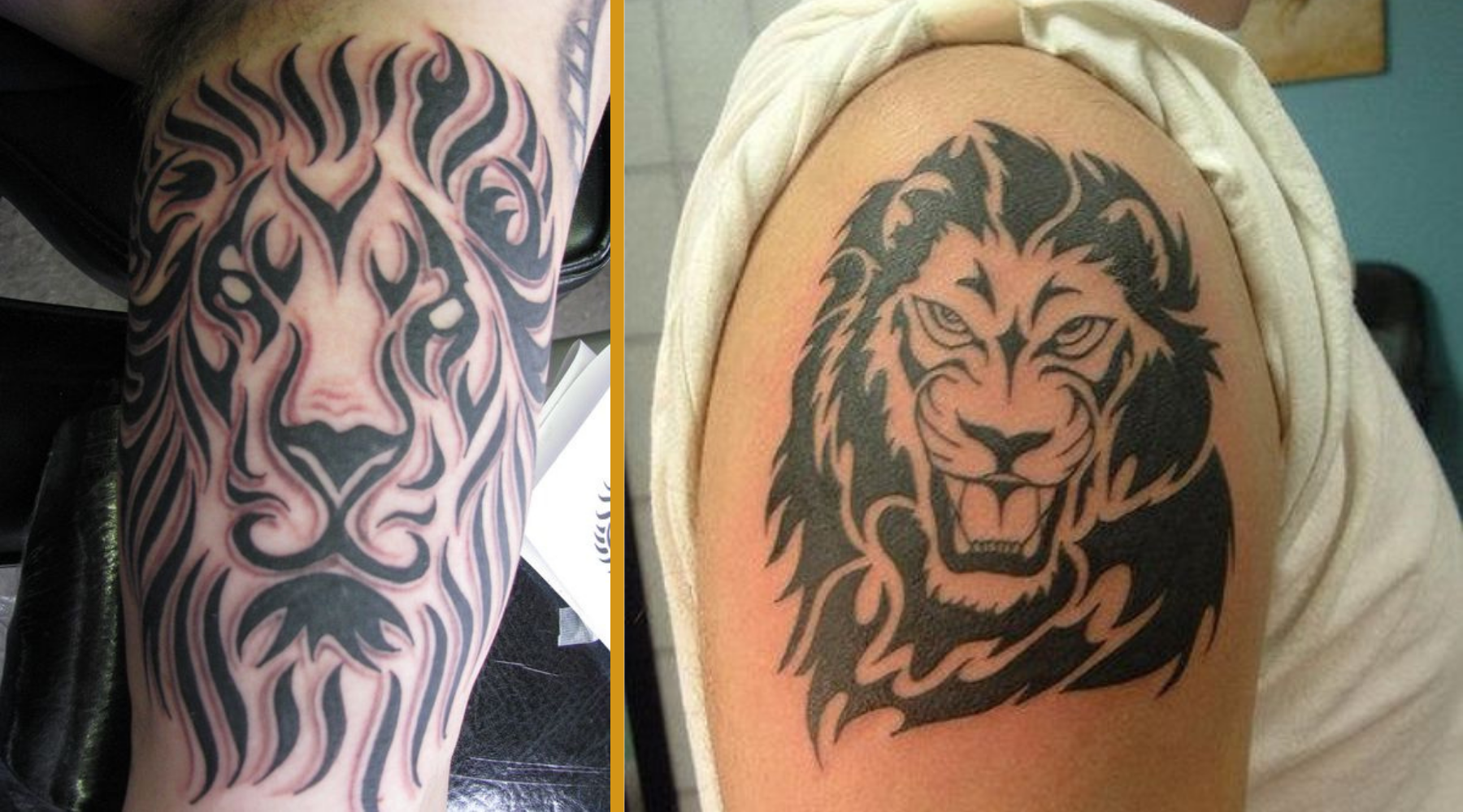 gros tatoo lion