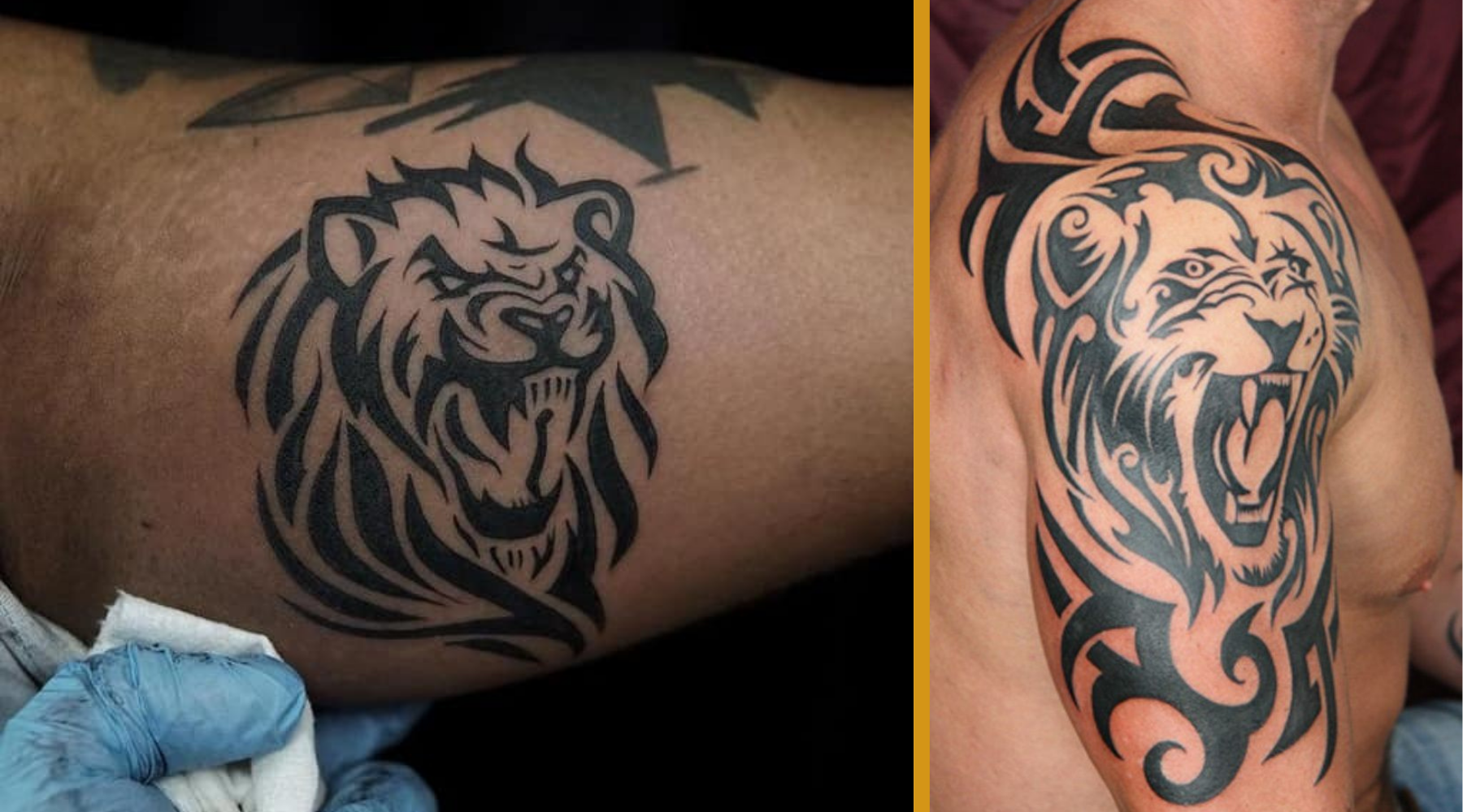 tatoo lion tribal