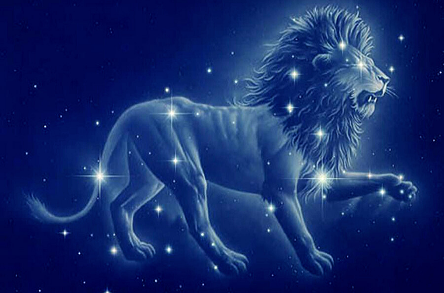 Lion en constellation.