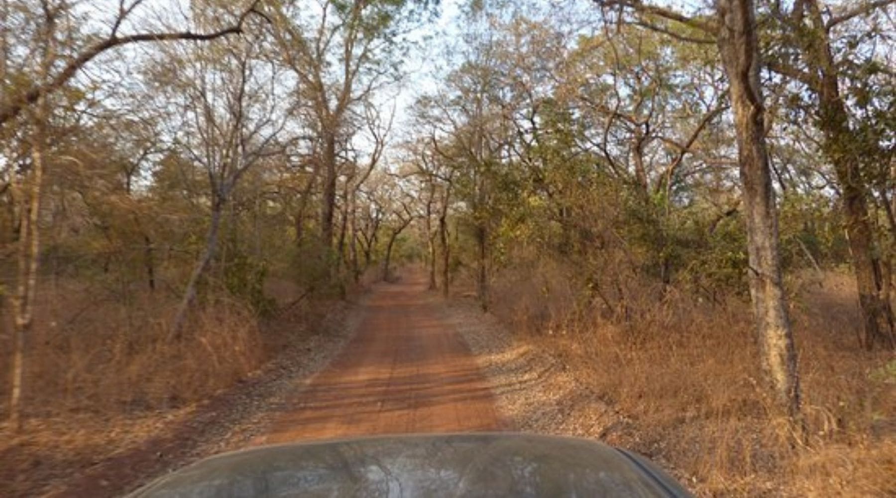 Route Niokolo-Koba