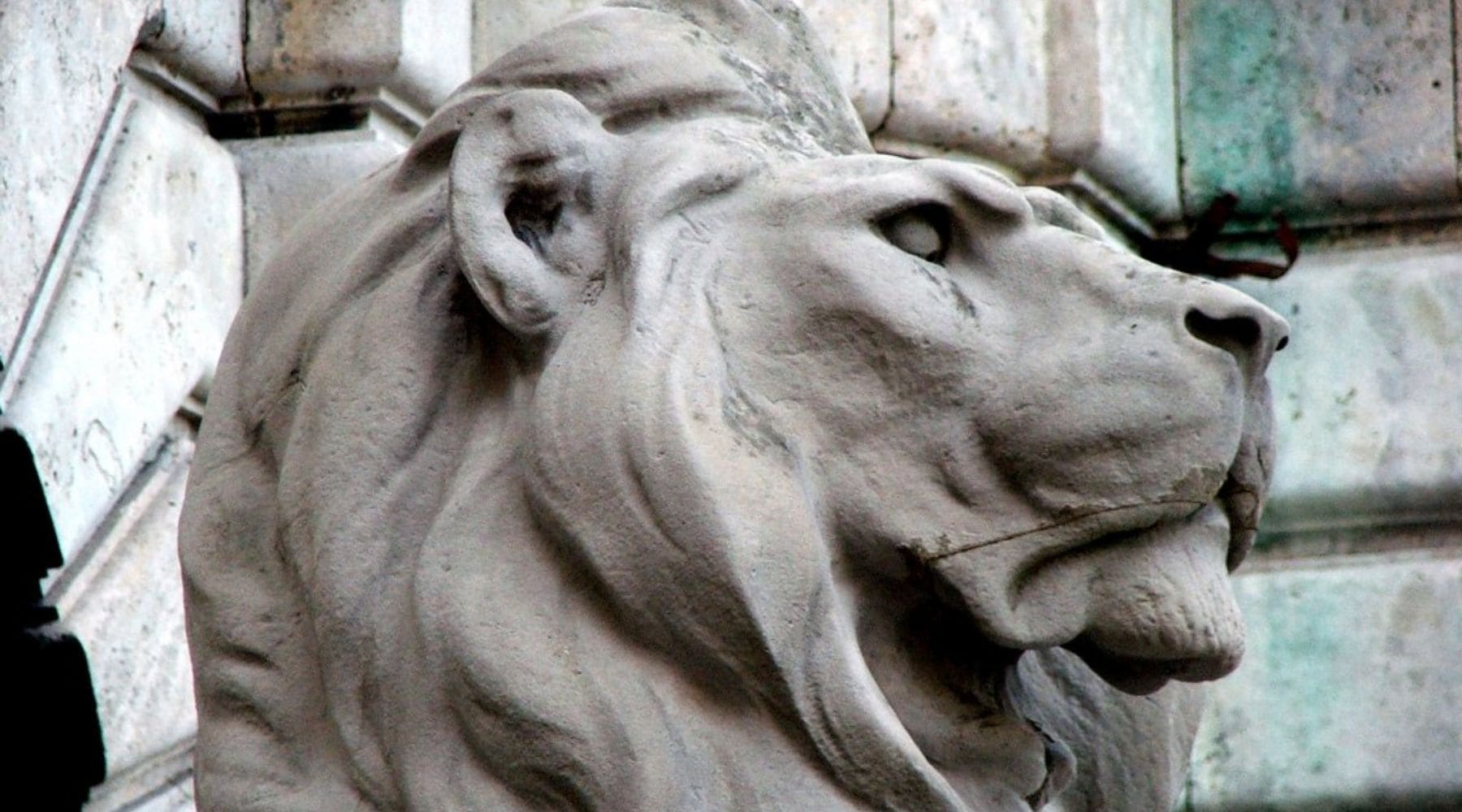 Tête statue lion