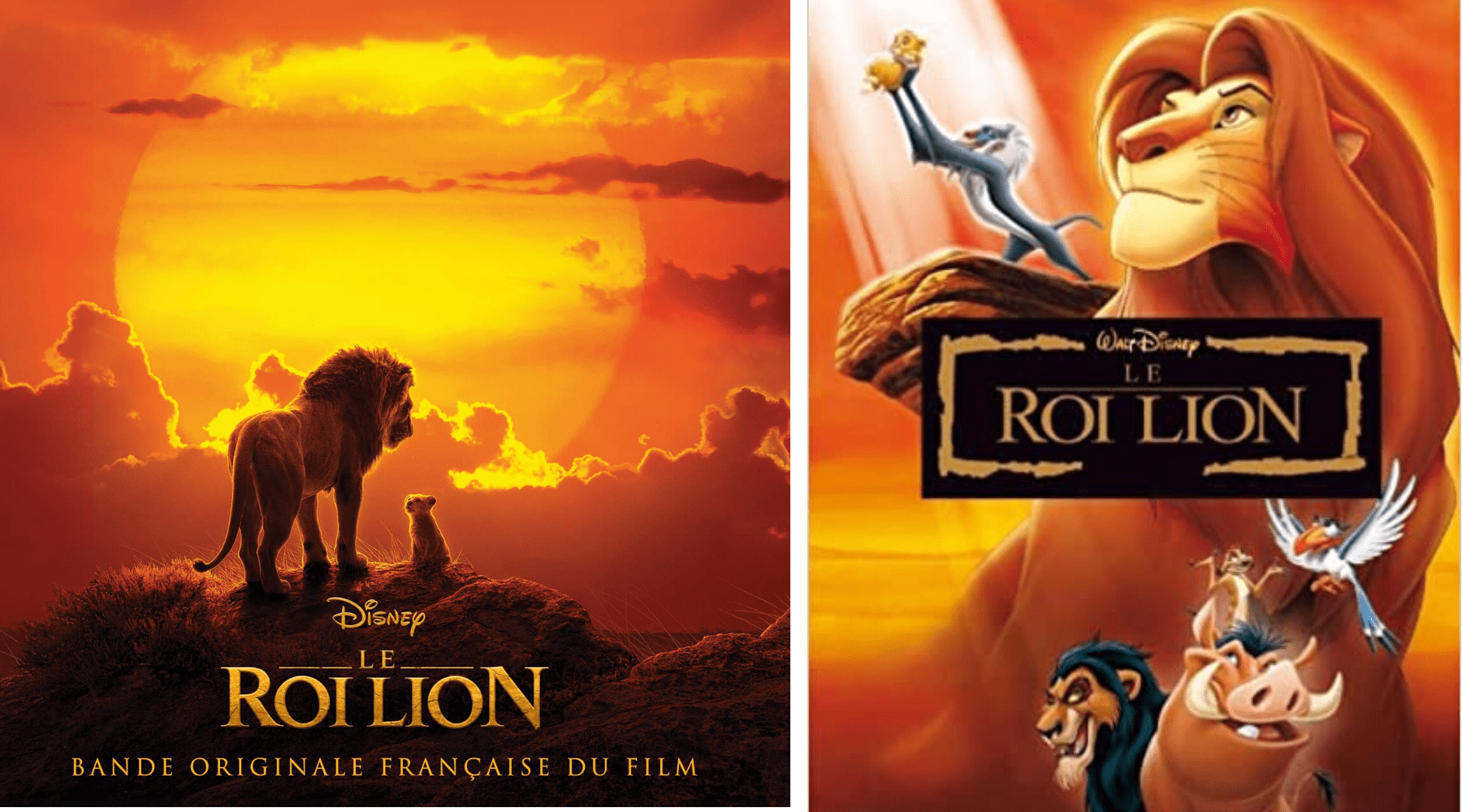 Le roi lion.