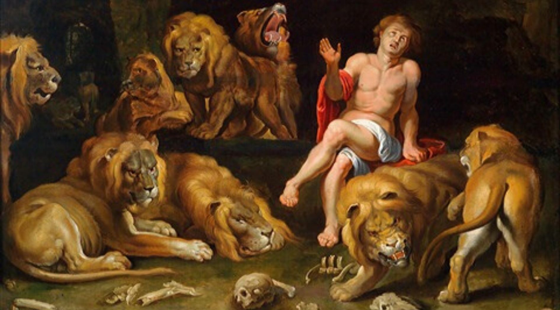 Lions en peinture.