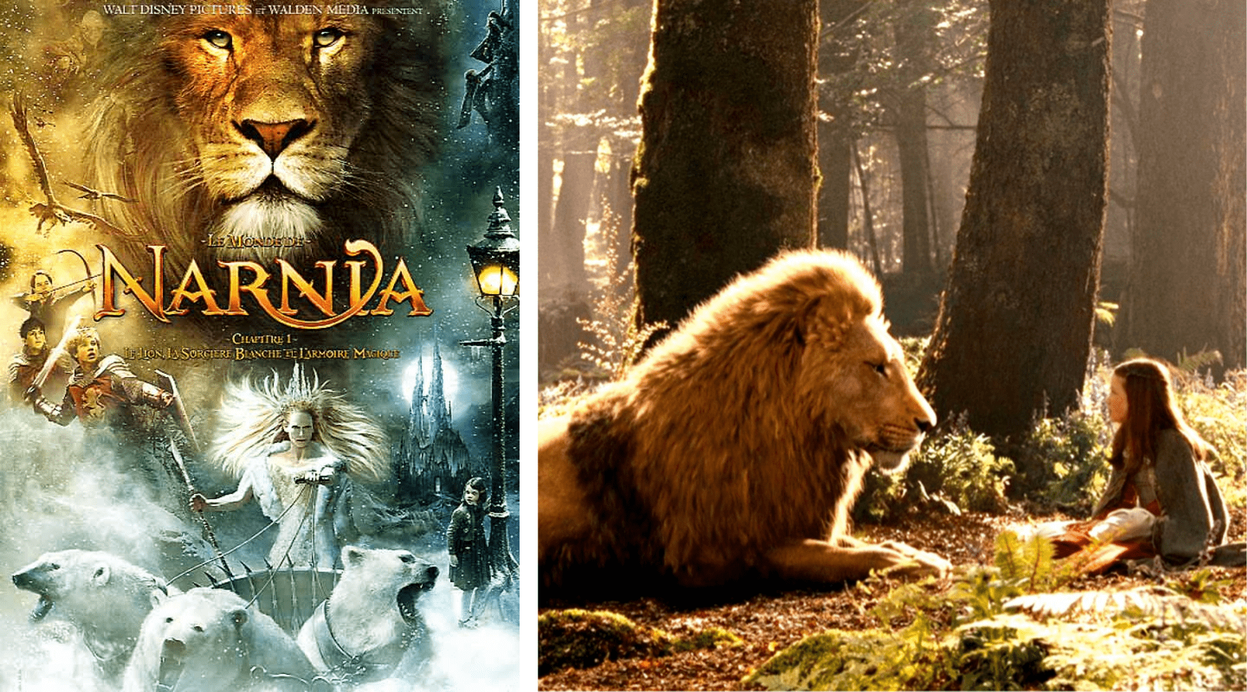 Narnia lion.