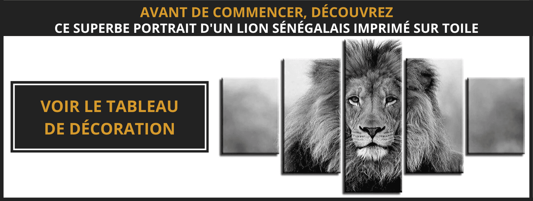 Tableau lion noir et blanc