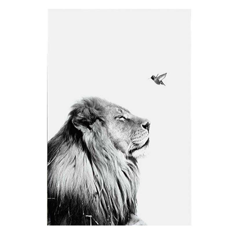 Poster Lion Noir Et Blanc Puissance Paisible Lion Royaume