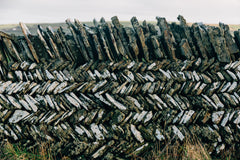 Cornish wall