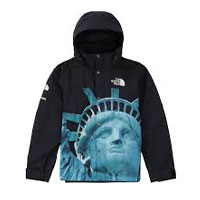 19AW Statue of Liberty Mountain Jacket