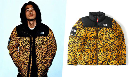 窪塚洋介 11AW × Supreme Nuptse Jacket